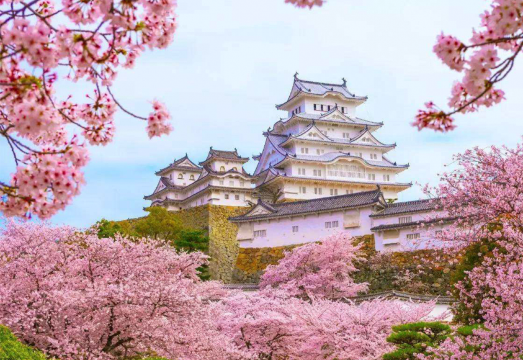 Himeji Day Tours Cherry Blossom Season Small Group 1-Day Tour to Kobe, Himeji Castle, Mount Rokkō, and Arima Onsen