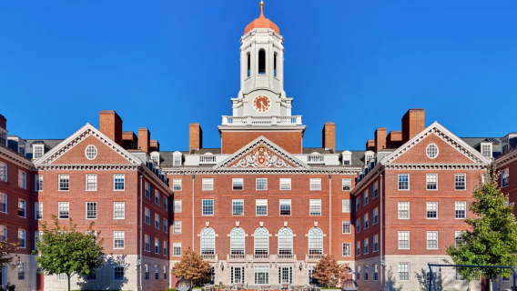 美國波士頓哈佛大學+麻省理工+觀鯨碼頭一日遊