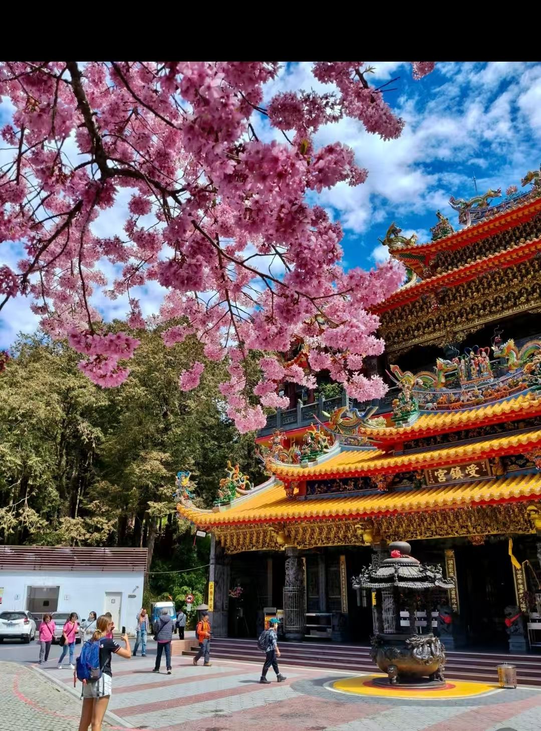 ไต้หวัน ไถจง บริการรับส่งระหว่างโรงแรม สถานีรถไฟ สนามบินแถงชิงชวนกัง แบบจุดต่อจุด+/เหมารถ/กำหนดเส้นทางท่องเที่ยวเอง