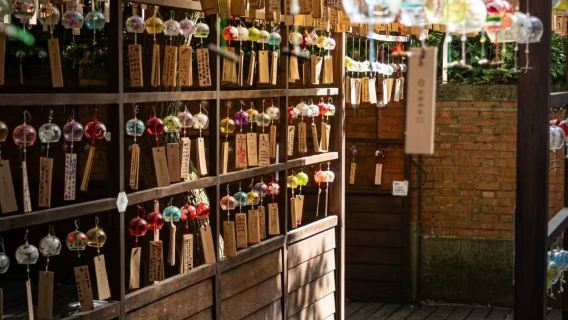 Taoyuan Taiwan Transfers/Private Charter/Customized Tours