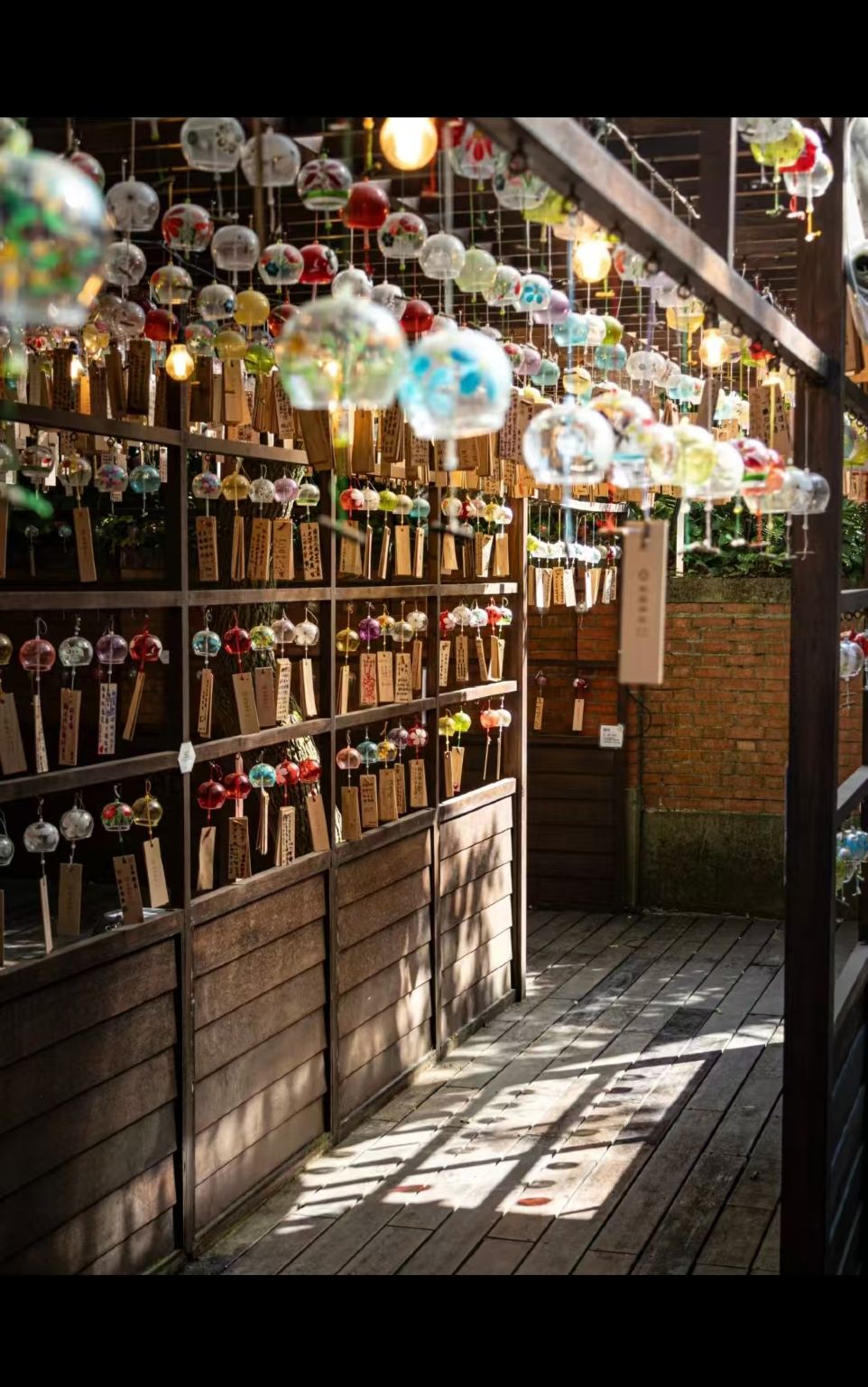 Trasferimenti/ noleggio con conducente esclusivo/ itinerari personalizzati a Taoyuan, Taiwan