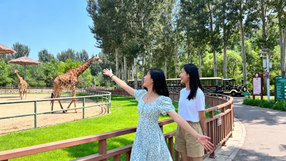 秦皇島野生動物園旅拍【跟拍攝影親子照情侶閨蜜兒童跟拍家庭旅拍】