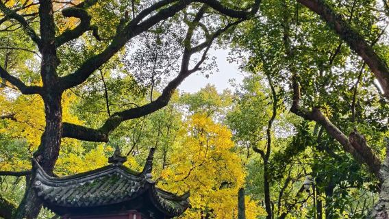 寧波citywalk半日遊【天一閣+月湖+高麗使館+鼓樓】