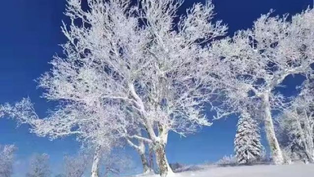 亞布力至雪鄉包車含大禿頂子山+冰雪畫廊+戲雪樂園540元套票