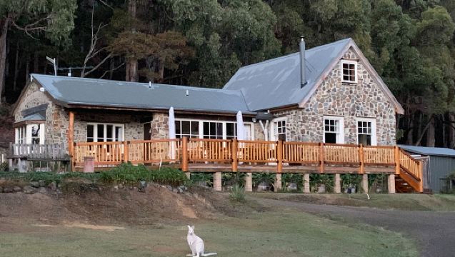 Lawatan Sehari Eksklusif Tasmania Hobart Pulau Bruny [Garis Utara-Selatan | Mencari Kangaroo Putih]