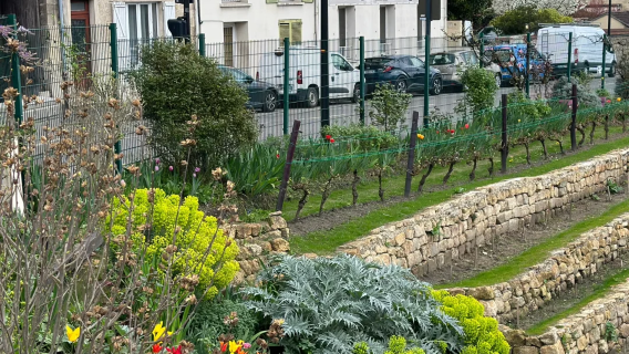 法國瓦茲河畔歐韋+尚蒂伊古堡浪漫藝術包車一日遊