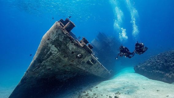 PADI Specialties (4 dives)