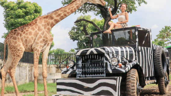 大城獅子王動物園+瑪哈泰寺遺址+夜市+全白河畔咖啡廳一日遊