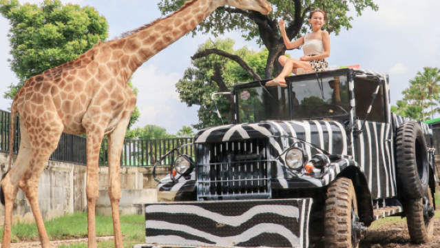 Lawatan sehari ke Zoo Singa Daerah Phra Nakhon Si Ayutthaya + Tapak Kuil Wat Mahathat + Pasar Malam + Kafe Tepi Sungai Berwarna Putih