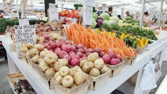 National Gallery of Canada in Ottawa + Rideau Canal Park + Parliament Hill + ByWard Market