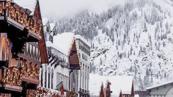 溫哥華來回：西雅圖一日遊 打卡城市地標|中文包車|景點可客製化