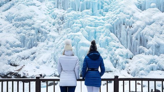 Winter Special | Ab Seoul: Nami Island + Gapyeong Rail Bike + Schienenfahrrad