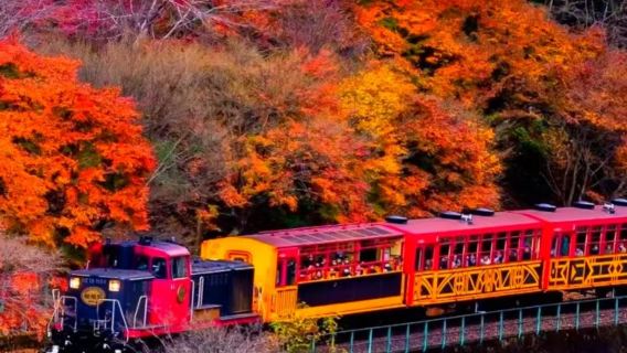 京都+奈良公園+伏見稻荷大社+嵐山一日遊【中文導遊】