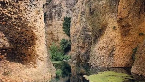 Seville round-trip to White Villages + Ronda - Private charter available - Top pick