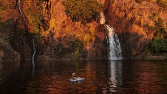 Darwin round-trip Litchfield National Park 1-day tour [crocodile cruise/foggy billabong options]