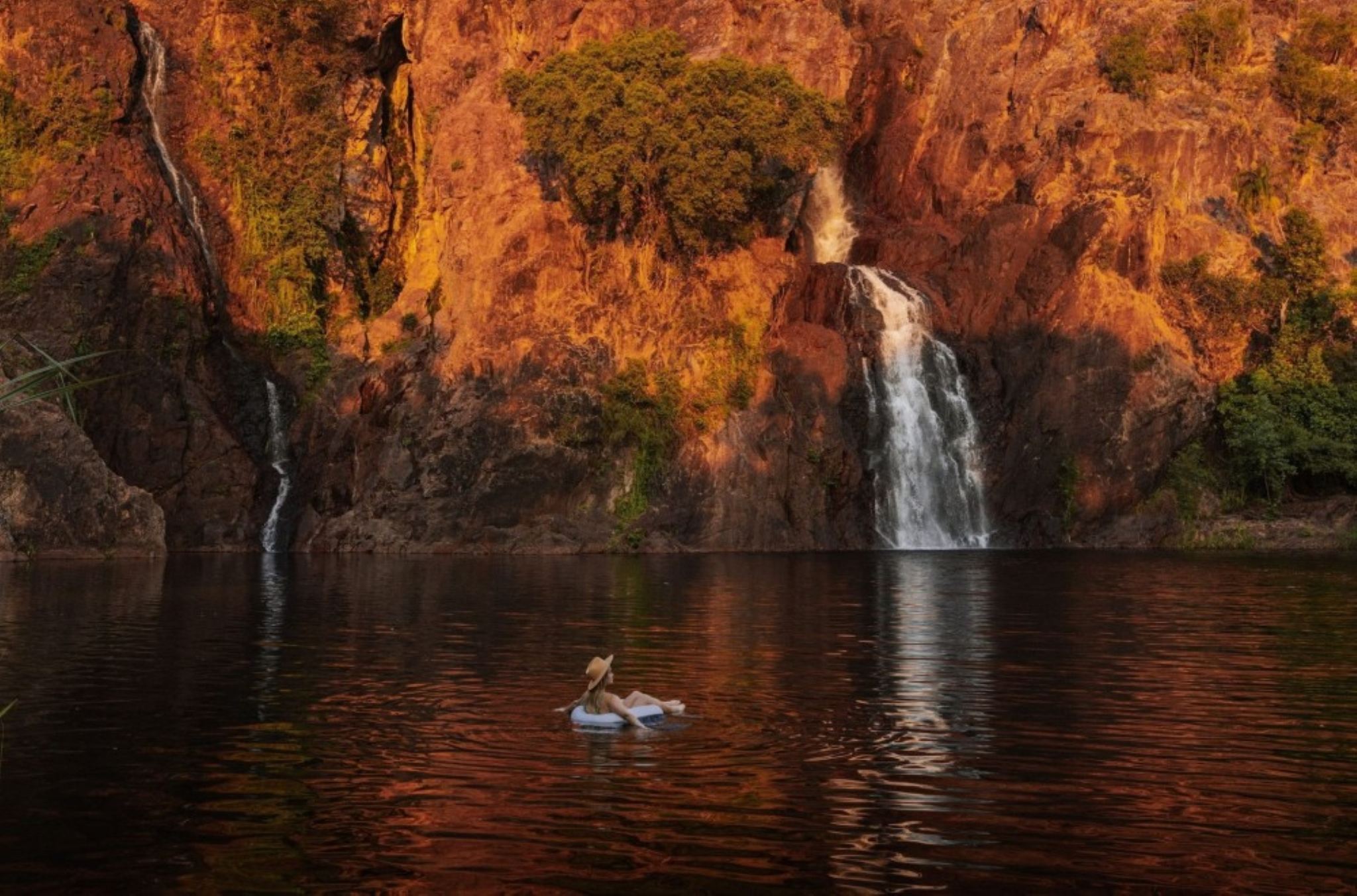 Darwin round-trip Litchfield National Park 1-day tour [crocodile cruise/foggy billabong options]