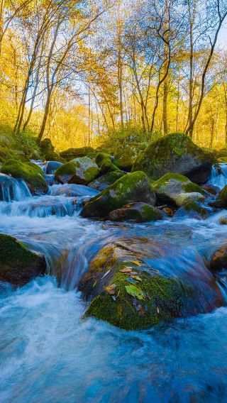 Mount Taibai National Forest Park One-Day Group Tour: Immersively Meet Ecological Wonders!