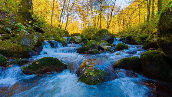 Nationalpark Taibai-Gebirge: Eintägige chinesische Gruppenreise – Entdecken Sie ökologische Wunder!