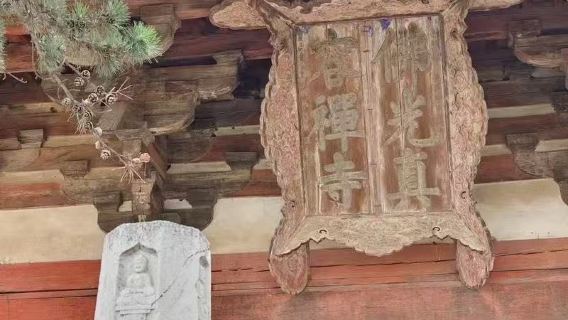 Xinzhou day tour to Nanchan Temple and Foguang Temple