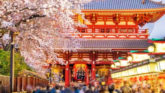 東京淺草寺+皇居+Diver東京廣場+溫泉一日遊【中文導遊】