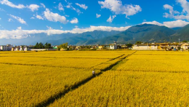 ทัวร์ส่วนตัวหนึ่งวันที่ต้าหลี่: เพลิดเพลินกับทิวทัศน์ของภูเขาชางซานและทะเลสาบเอ๋อร์ไห่ รวมถึงเสน่ห์ของสองระเบียงและซีโจว