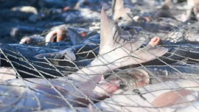 松原-查干湖｜古法冬捕+冰上娛樂｜暖車包車一日遊