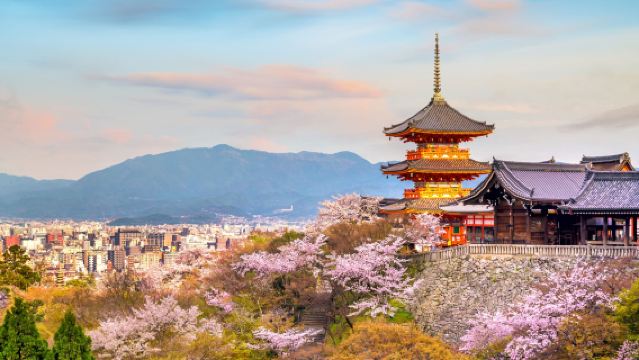 Kyoto & Nara Highlights Day Tour [From Osaka • 7 Major Spots In A Day • Kiyomizudera Temple / Fushimi Inari Taisha / Nara Park / Kasugataisha Shrine / Byodoin Temple / Uji Omotesando / Todaiji Temple]