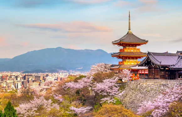 京都與奈良打卡熱點精華一日遊【大阪出發 • 探訪7大名勝 • 清水寺+伏见稻荷大社+平等院+宇治表参道+奈良公园+東大寺+春日大社】