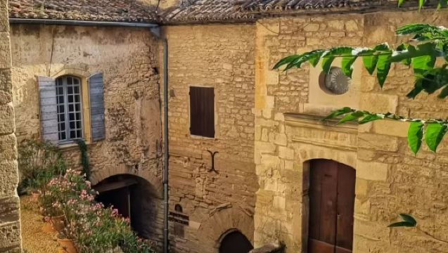 Classic Lavender Flower Viewing Route from Avignon, France