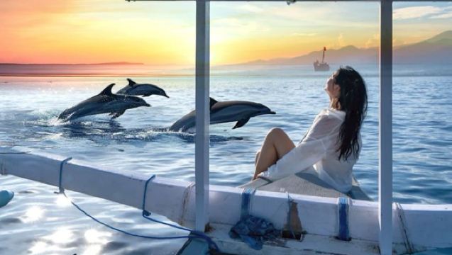 Bali Lovina VIP Private Car Dolphin Chasing 1-Day Tour [Optional Private Boat/Snorkeling/Fishing]