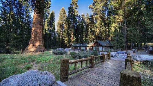 Los Angeles: Taman Negara Sequoia + Kings Canyon [Sewaan Peribadi Berbahasa Cina]