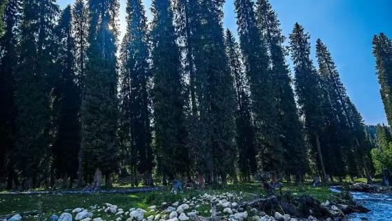 Lawatan Sehari Kereta Kecil Kurdening