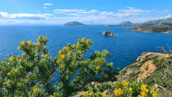 Halbtagesausflug zum Kap Sounion und Poseidon-Tempel ab Athen, Griechenland