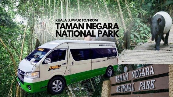 Услуга трансфера из Куала-Лумпура в национальный парк Таман-Негара