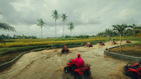Combo Ubud Bali ATV  Quad Bike and Ayung River Rafting with Lunch