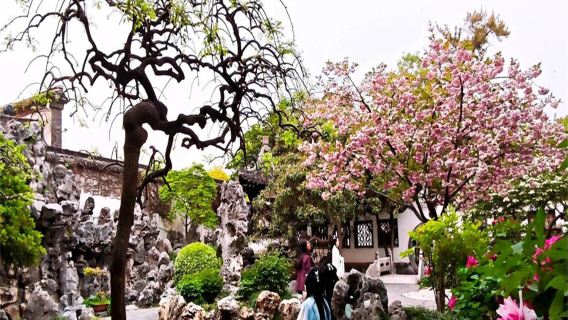 Lawatan setengah hari ke Taman He Yangzhou [Tiket masuk | Penerangan terperinci selama 1 jam] Pilihan sesi pagi/petang
