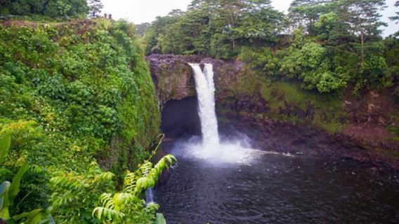 Amerika Hawaii Taman Negeri Air Terjun Akaka Pulau Besar - Taman Negara Gunung Berapi Hawaii - Sewaan Peribadi - Melancong