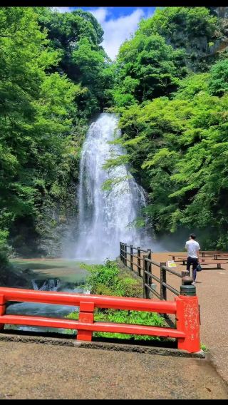 日本大阪＋勝尾寺＋箕面大滝＋万博記念公園ワンデーツアー/カスタマイズ可能