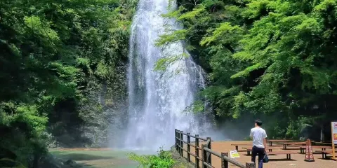 日本大阪+勝尾寺+箕麪瀑布+萬博紀念公園一日遊/可定制行程