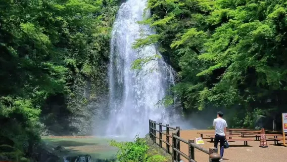 Lawatan sehari Osaka Jepun + Kuil Katsuouji + Air Terjun Minoh + Taman Peringatan Expo / Perjalanan boleh disesuaikan