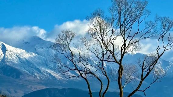 New Zealand Tekapo + Wanaka + Arrowtown + Queenstown shuttle bus 1-day tour | Small group of 2-11 people