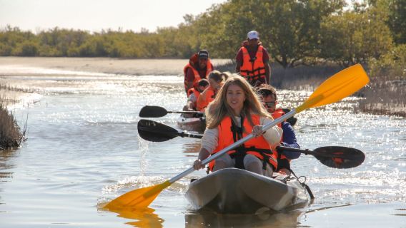 Piragüismo por el manglar en Catar