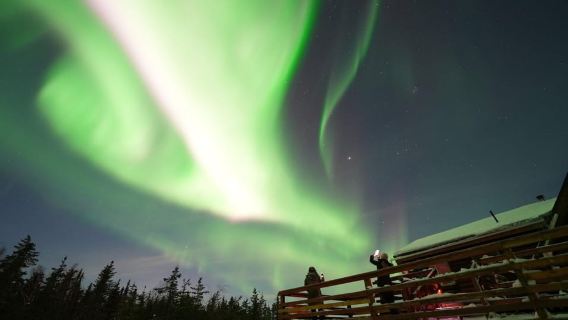 Fairbanks: Aurora Husky Lodge Aurora Viewing Tour