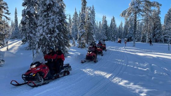 Ruka: Snowmobile Safari 2h with snacks and guide