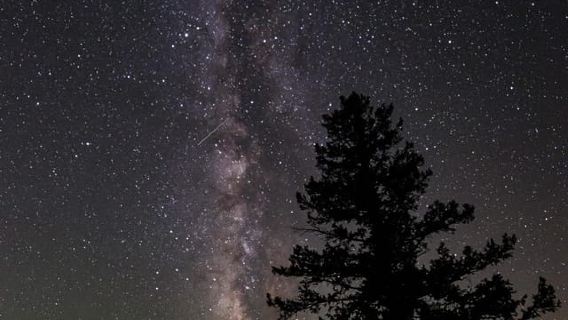 洛磯山國家公園：導覽觀星遠足