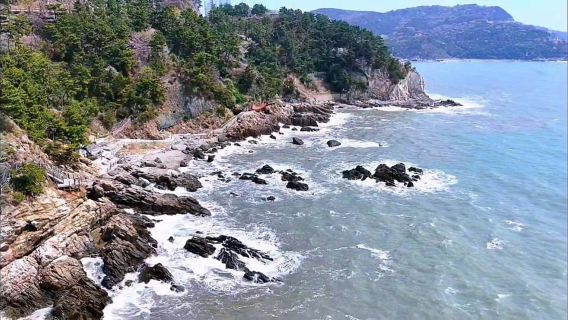 Busan Mountain & Coastal Hike in Hidden Yeongdo