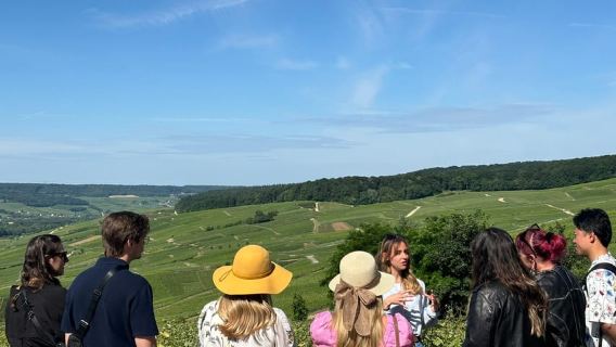 Reims or Epernay: Short day family growers & lunch