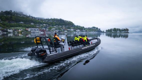 Norheimsund: All-Year Hardangerfjord & Fyksesund RIB Safari