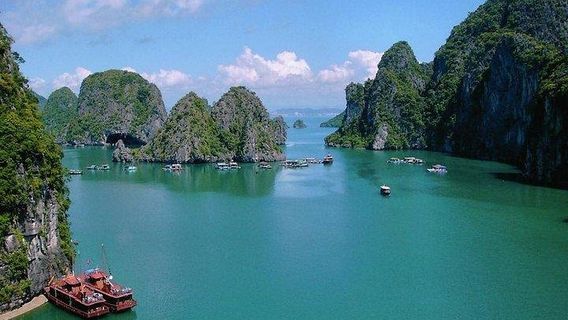 Truong YenTours