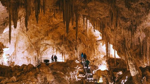 BusseltonTours